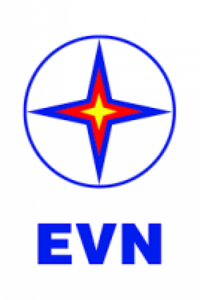Strategic Options for Enhanced Financial Performance of Vietnam Electricity (EVN) (2013-2014)